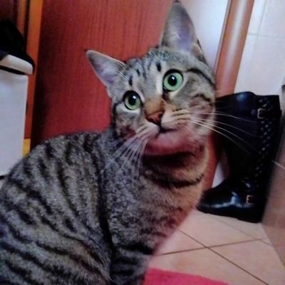 FaggiRoberta's profile picture. 