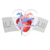 Área del Corazón del HUVV de Málaga (@ACorazonHUVV) Twitter profile photo Área del Corazón del HUVV de Málaga (@ACorazonHUVV) Twitter profile photo