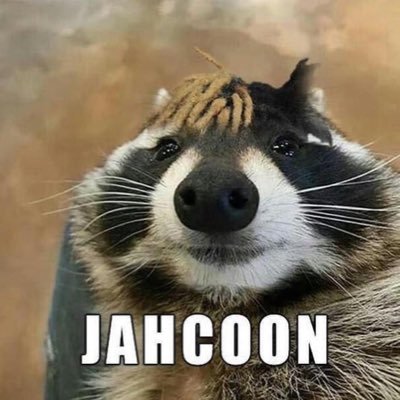 Stoner 🍃| Shitposter💀|Movie Enthusiast🎬| Meme collector| Part time twitch streamer| 👌👌👌| 🔌💳