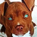 BROOK LEWIS - @BROOKLE12503132 - Twitter