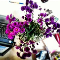 M. GLASS (@adliyeprensi) Twitter profile photo