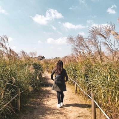 ivianiwinoto's profile picture. 