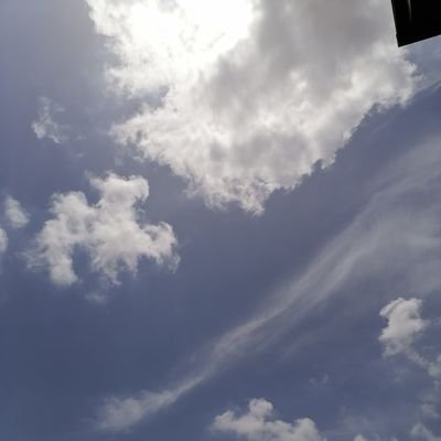 Jasonli49790926's profile picture. Hi