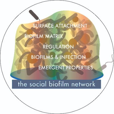 The Social Biofilm Network