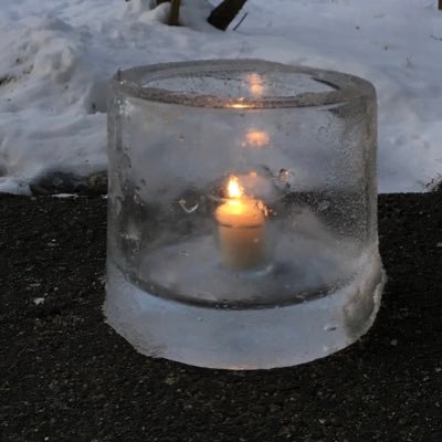 DonaldZarfos's profile picture. Backtesting the algorithms