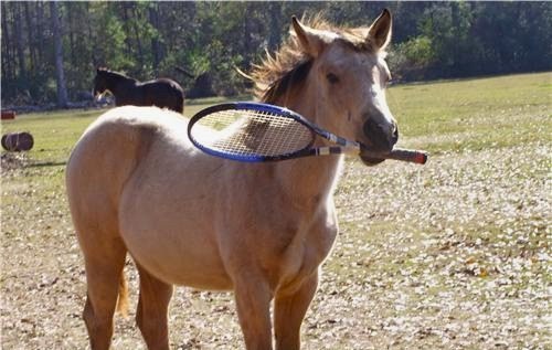 rooklynk's profile picture. 