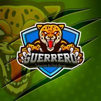 Seleccion de Guerrero (@seleccionguerr1) 's Twitter Profile