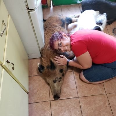 christal_ellard's profile picture. coal miners daughter, learned to lay brick @13y, Navy wife @20,  living in the Deep South , Rescuer of Feral Pigs, and Mom to 8, & Fk Gaetz