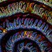 Garrett Lab (@thegarrettlab) Twitter profile photo Garrett Lab (@thegarrettlab) Twitter profile photo