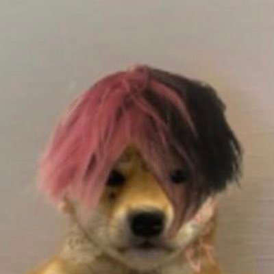 apogeefn's profile picture. | twitter crawler | grinding every day | spam acc