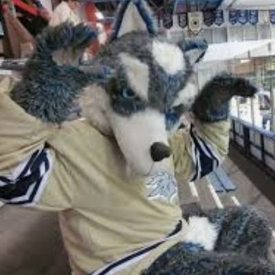 I am the biggest fan of the North Vancouver Wolf Pack. I love chasing squirrels, cheering on the Wolf Pack and interacting with fans!🐺🏒