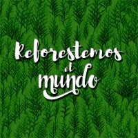 reforestemoselmundo (@reforestemosok) 's Twitter Profile