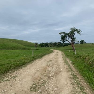 marymar456's profile picture. 