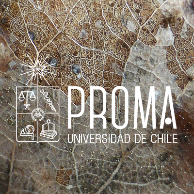 PROMA tiene como objetivo promover la reflexión, el debate y la discusión sobre temáticas medioambientales en la Universidad de Chile.