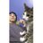 Juampy48's profile image