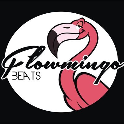 flowmingo3's profile picture. Musiker