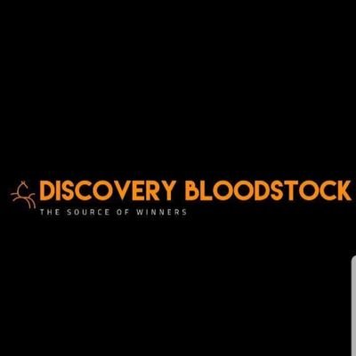 DiscoveryBlood1 Profile Picture