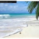 Sheri Woods - @Swoods70 - Twitter