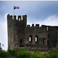 Black Country Boy (@blackcountrybo6) 's Twitter Profile Photo