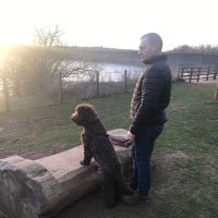 Mark Cottle (@markcottle17) 's Twitter Profile