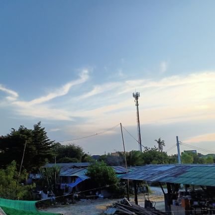 Terrifi83584714's profile picture. 