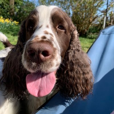 Kathryn79913087's profile picture. 