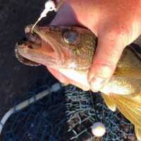 Upper Lip Outdoors (@upperlipoutdoor) 's Twitter Profile Photo