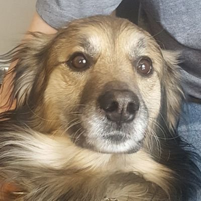 Millertime08107's profile picture. 