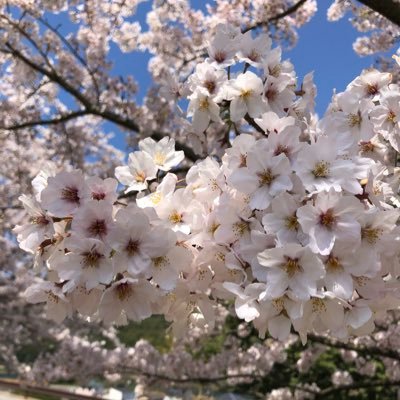 みかんハートテヘムフ♡さんのプロフィール画像