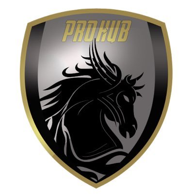 official account of PRO HUB team