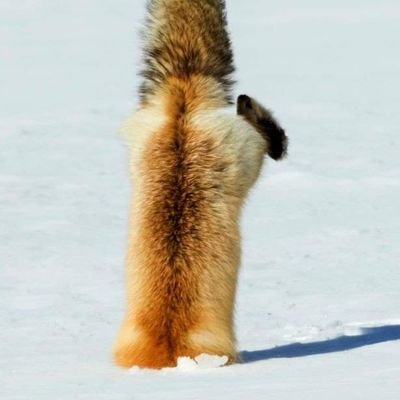 RTエロ多め注意