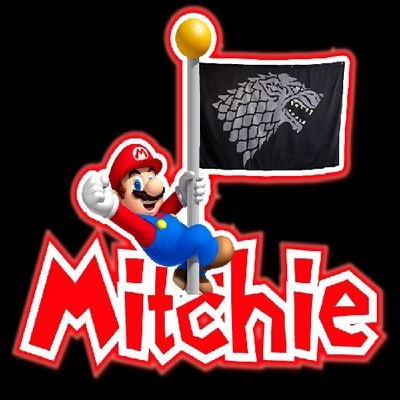 Twitch Afiliate🤩 Dutch streamer Mitchell 35 from Netherlands Games:Fortnite,Call of Duty,Mario Kart