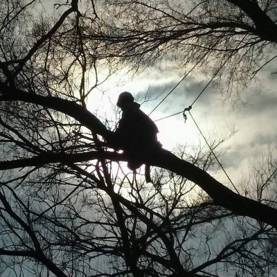 Certified Arborist, Professional Climber, Providing tree services throughout Indiana
