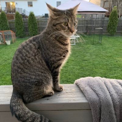 TrueThoughtRev's profile picture. let’s not forget, we still need universal healthcare, tax reform, k-16  gov funded education, student loan forgiveness, the repeal of Citizens United and more!