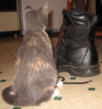 tiggr905's profile picture. Teacher