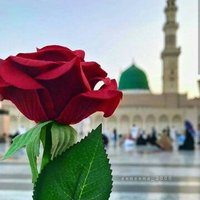 ~KÂBEM KARA SEVDAM~ (@hbastimar) Twitter profile photo