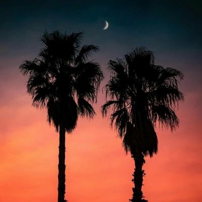 Abdullah_no_1's profile picture. Life's beautiful✨
👁👁