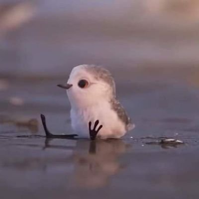 kambora011's profile picture. 😍😍😍😍😍😍