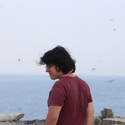 DiegoDGDC's profile picture. Biologist • seabirds • Team @UIEMAvesMarinas