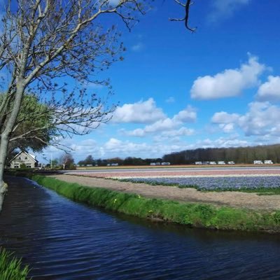 NatashaNL3's profile picture. Love for all living creatures!