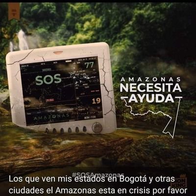 Susana82214777's profile picture. Amar ami familia