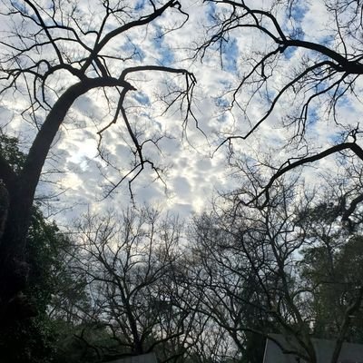 zhoukang16's profile picture. 世界那么大，我想看看