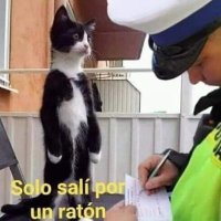 Hotactivo (@hotactivo3) 's Twitter Profile