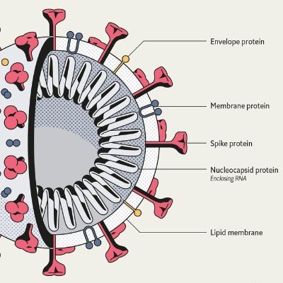 Open Science approach for Covid-19 screening that is Frequent, Fast-turnaround, Cheap & Easy. XPRIZE Rapid Covid Testing – https://t.co/ih0CsZbMDm