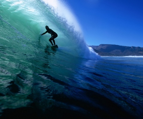 egarwick's profile picture. 