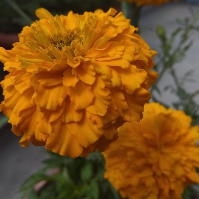 ParajitY's profile picture. 