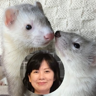 SmileMine5's profile picture. フェレット小春🌸と栗坊🌰のママです。動物も人間も “こころ” は一緒、通じ合ってワンネスの世の中へ♡ヒプノセラピスト（催眠療法士）、アニマルコミュニケーションCREA認定講師、レイキティーチャー。
