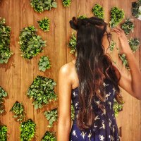 Ashlesha Raj (@ashlesha_raj) 's Twitter Profile Photo Ashlesha Raj (@ashlesha_raj) 's Twitter Profile Photo