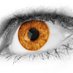 Òptica i teràpia visual (@opticaiterapia) Twitter profile photo