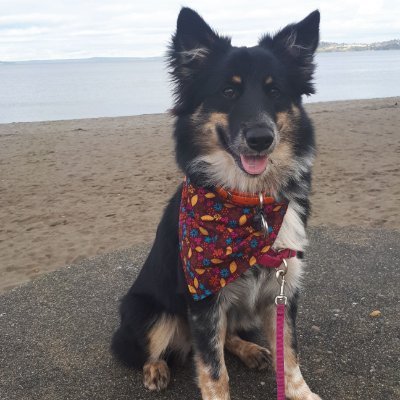 pumpkin_waffle's profile picture. 🏙️ 🇺🇸 🦫 👮🏽‍♀️ 🧇 🪖 🐾